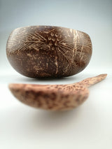 Kokosnuss Bowl/Schale mit Löffel und Palmenmotiv | Naturprodukt | Plastikfrei | Handgefertigt